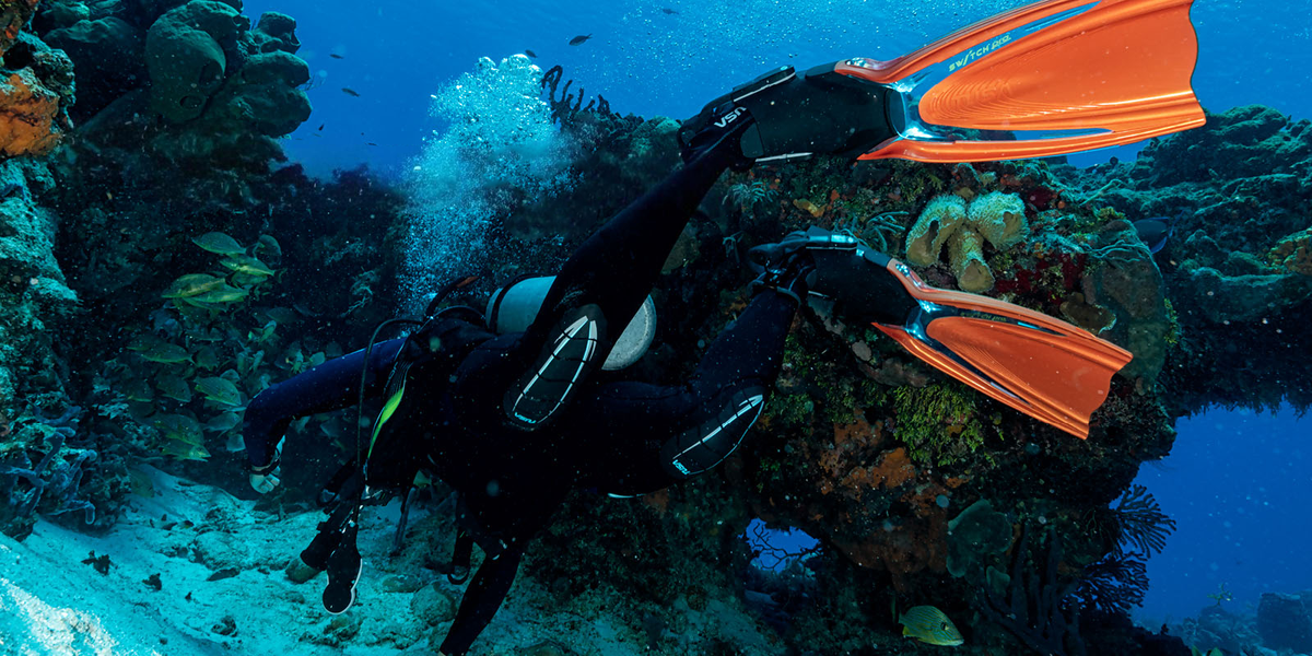 Fins 101: Choosing the Right Fin