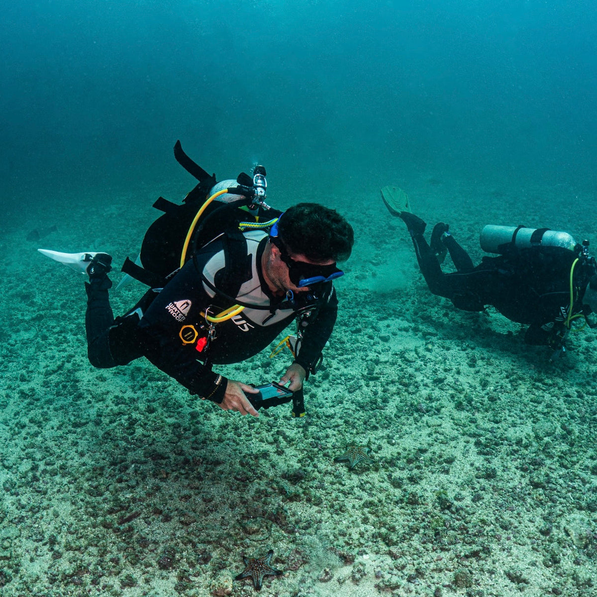 How Often Should You Dive After Getting Certified? A New Diver's Guide