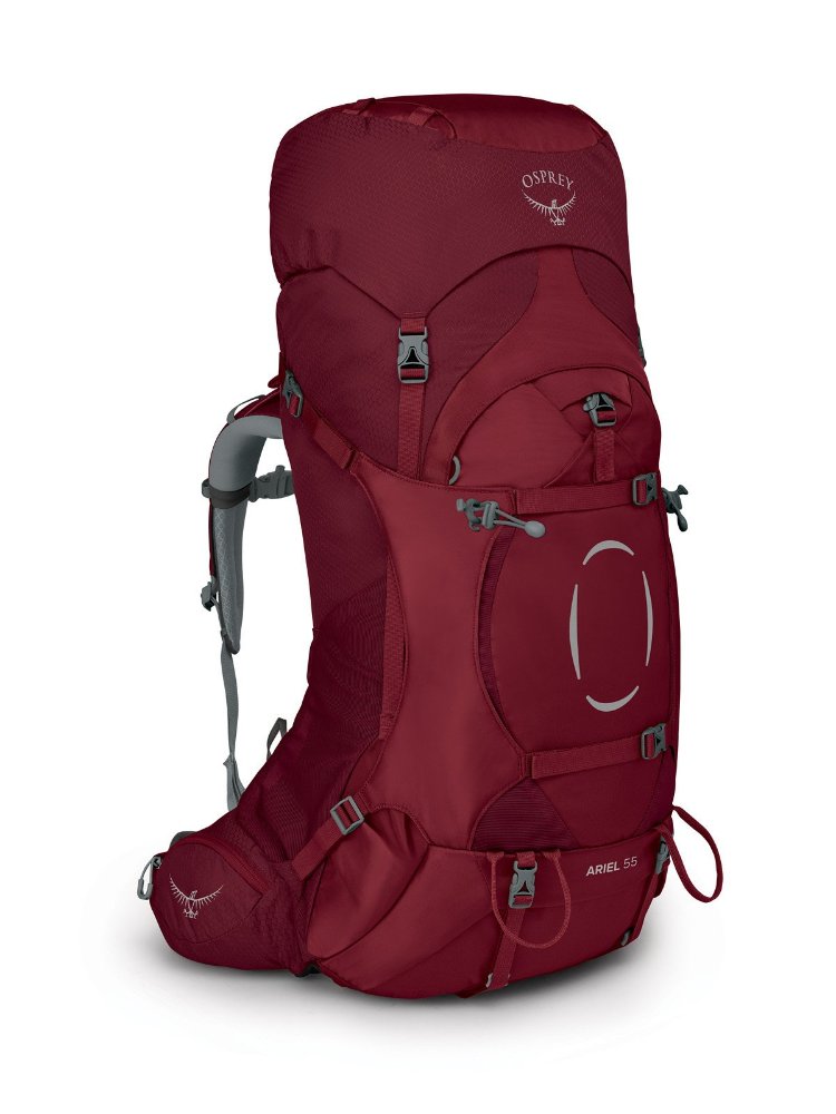 Ariel 55