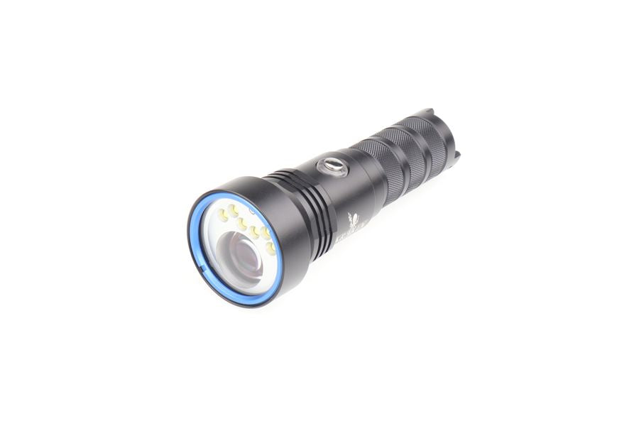 LEP Spot + 2500