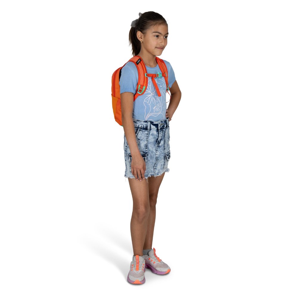 Daylite Jr