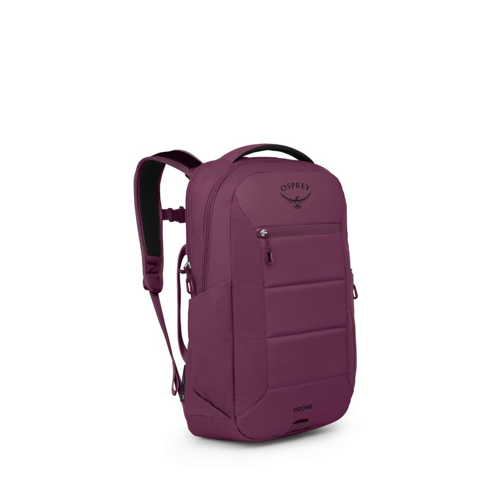 Ozone Laptop Travel Backpack
