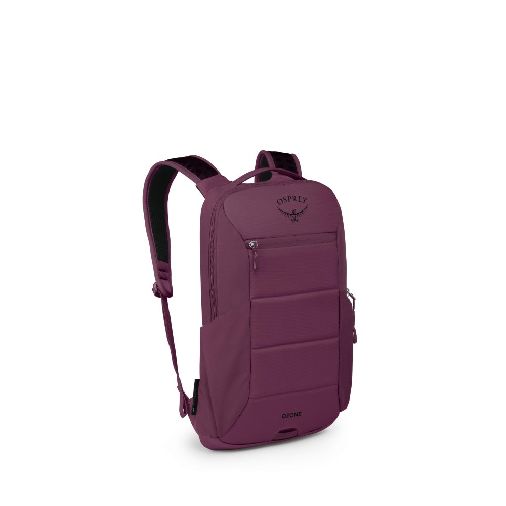 Ozone Slim Pack Travel Backpack