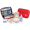 Dive 1st Aid Lionfish Sting Kit