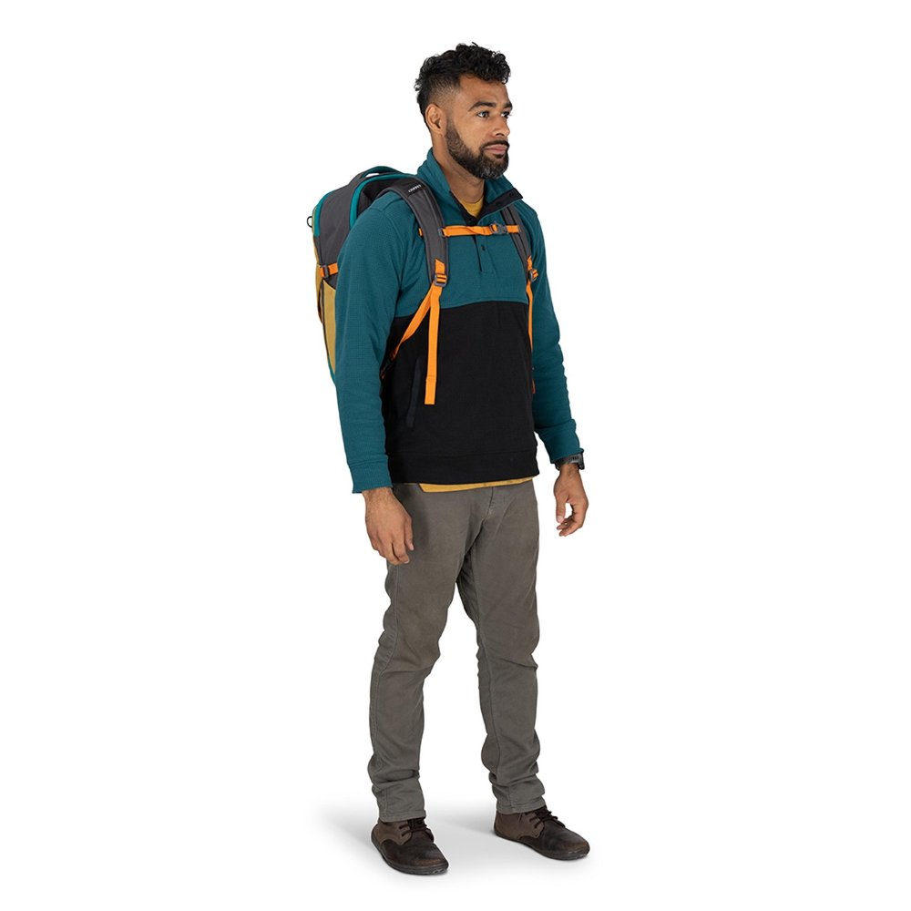 Daylite Carry-On Travel Pack 35