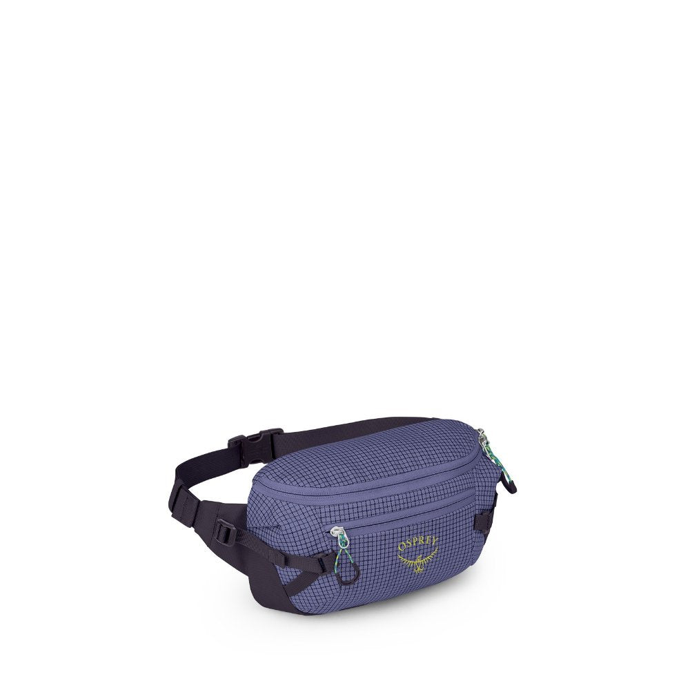 Transporter Waist Pack