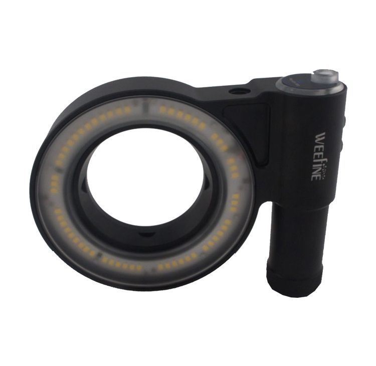 Kraken Ring Light 3000 Lumen WRGB