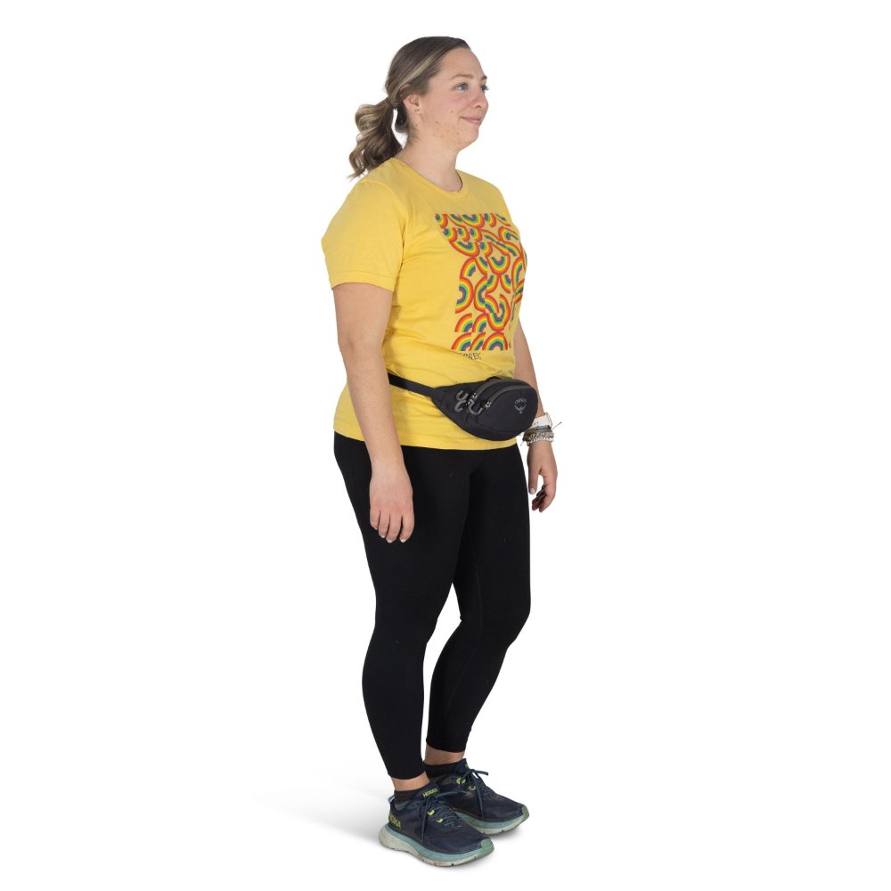 Daylite Mini Waist Pack