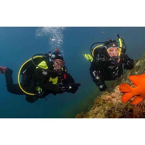 SDI Dry Suit Diver Course