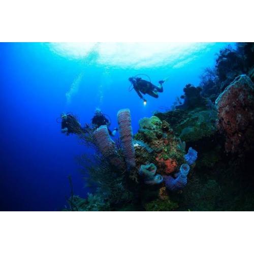 Roatan All-Inclusive Dive Trip: Mayan Princess