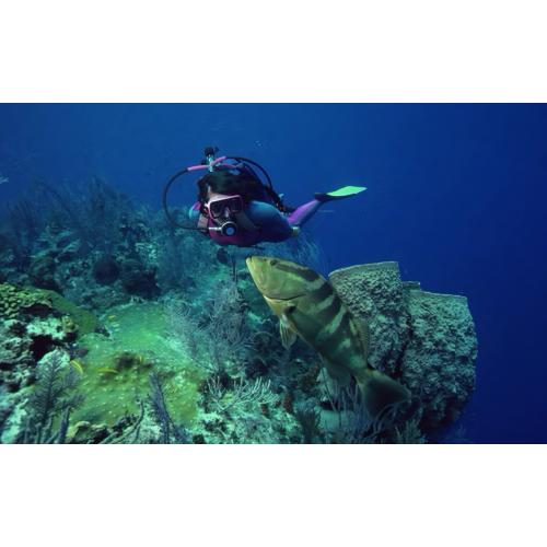 St. Vincent Dive Trip: Walls, Wrecks & Critters