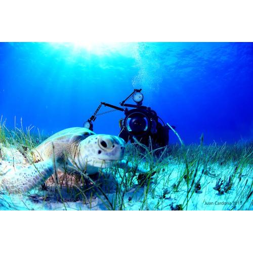 SDI Underwater Photographer Course