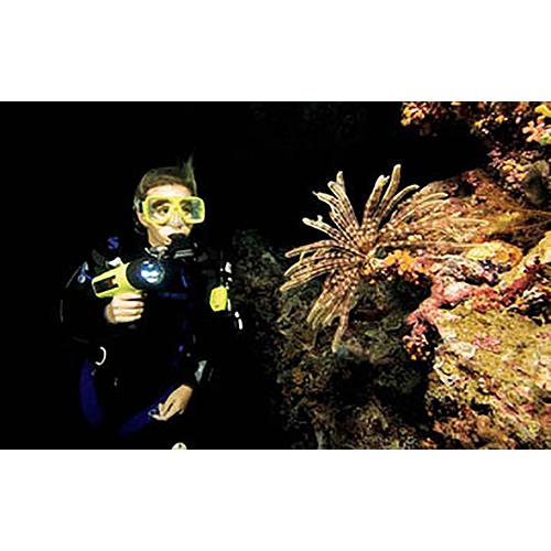 SDI Night/Limited Visibility Diver Course