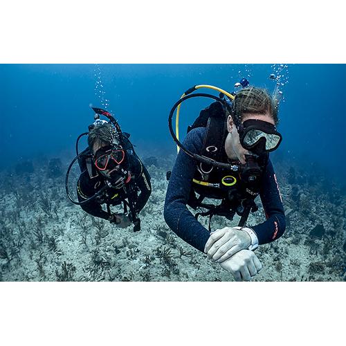 SDI Master Scuba Diver Rating